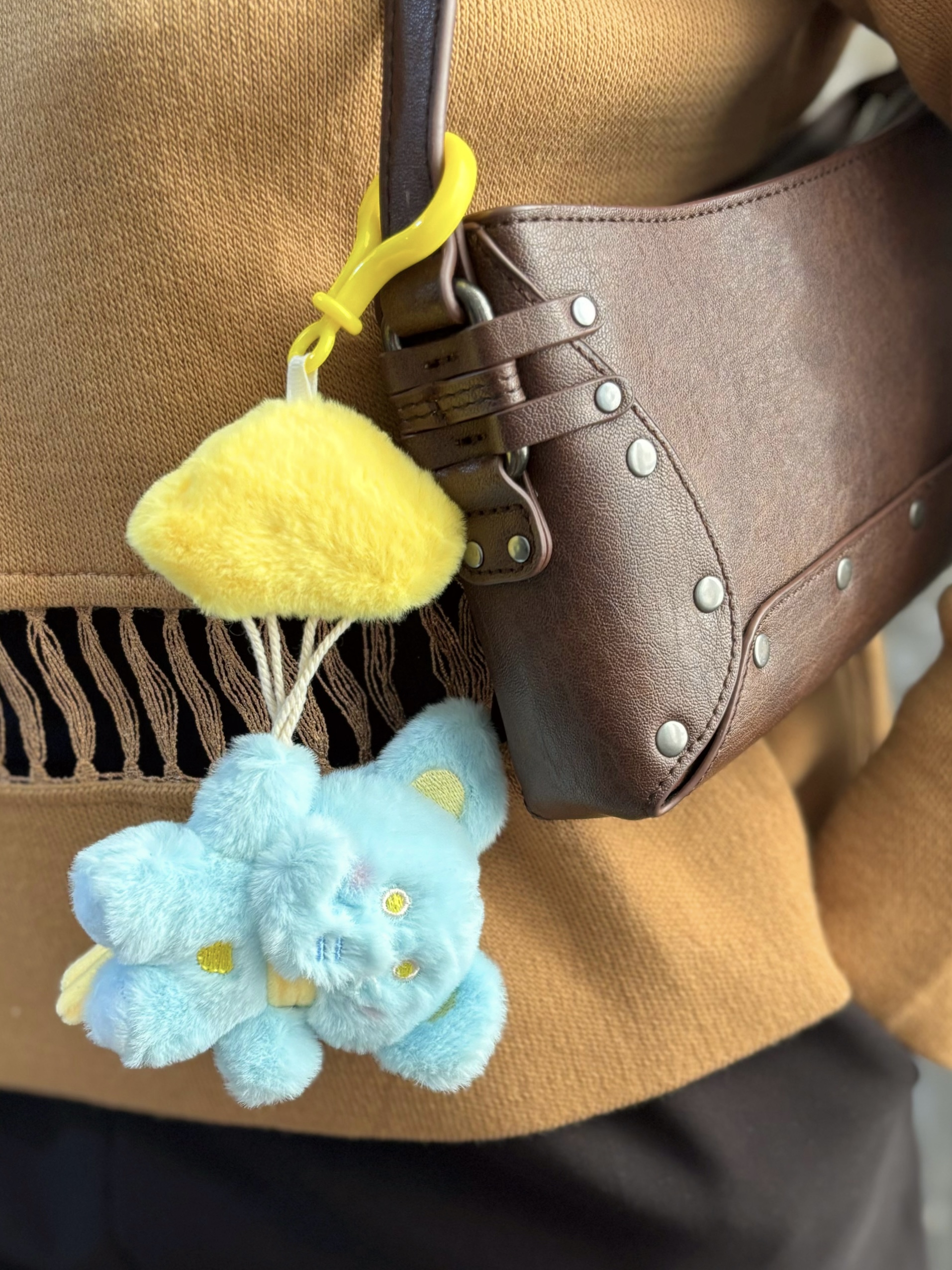 جاسوئیچی فیل و ابر آرزوها